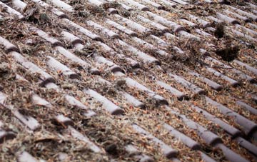 Mauchline roof cleaning companies